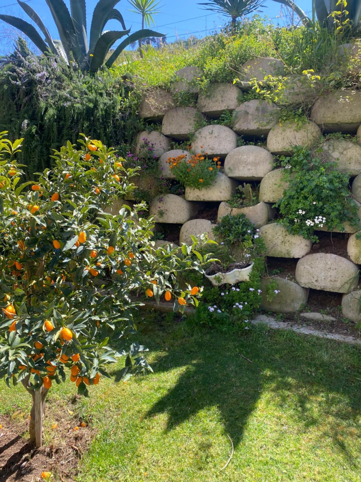 Bed and Breakfast Residenza RoMa Tropea Exterior foto