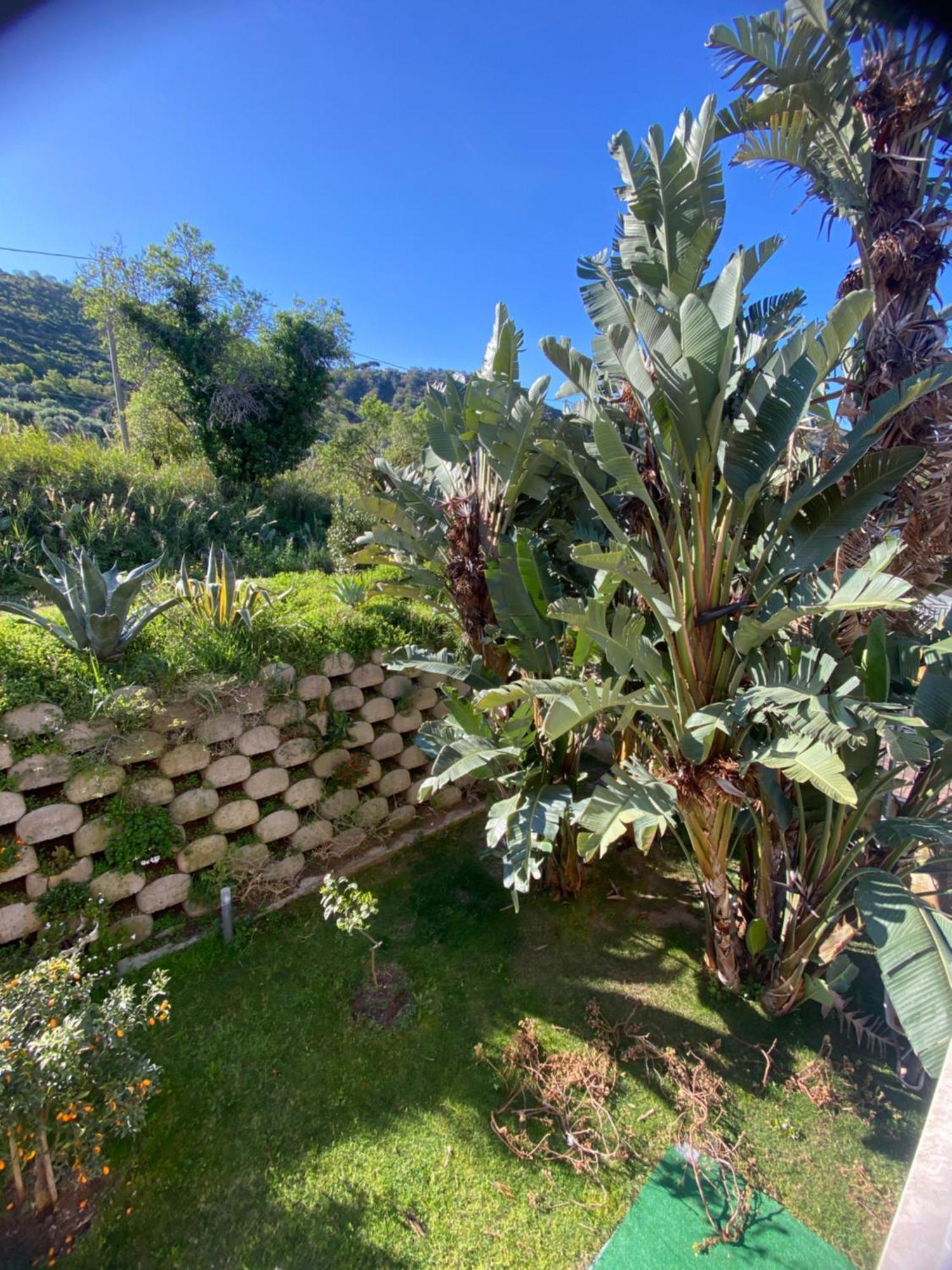 Bed and Breakfast Residenza RoMa Tropea Exterior foto